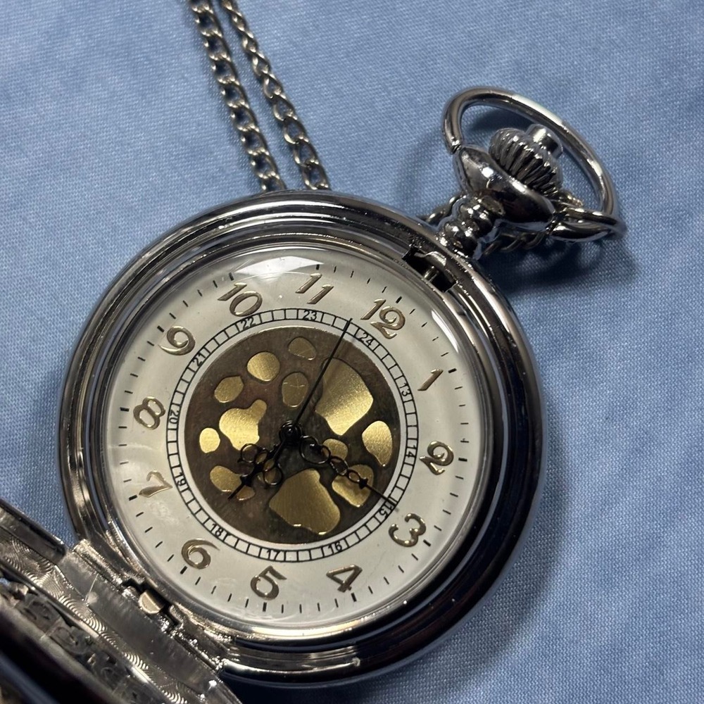 Silver scorpion pocket watch with chain